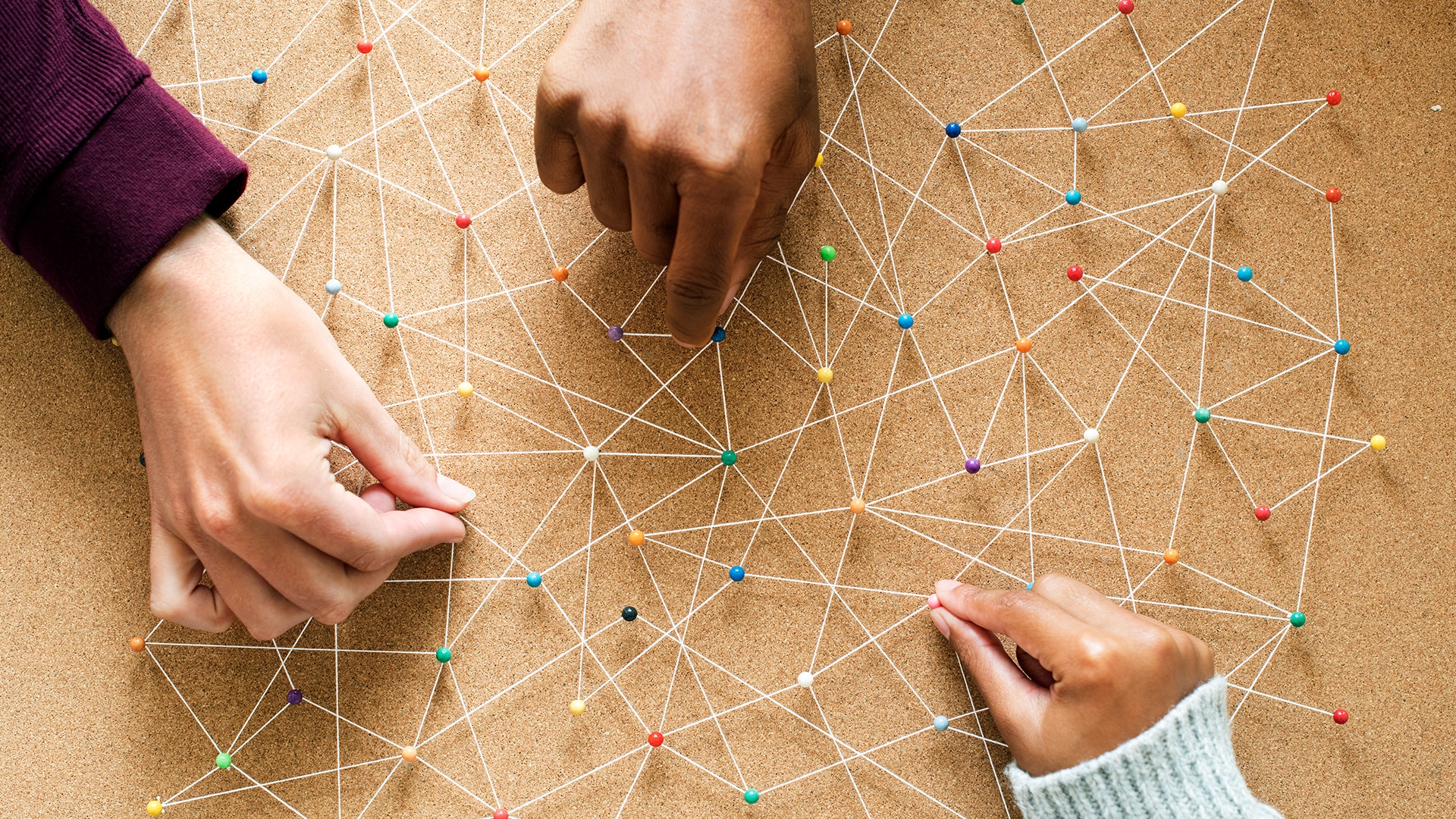 connecting البيانات القانونية لتيمسيس